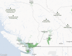 Telus launches 4G LTE network coverage in more BC regions