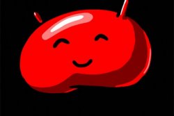 Last Android Jelly Bean Update Slated for mid-February